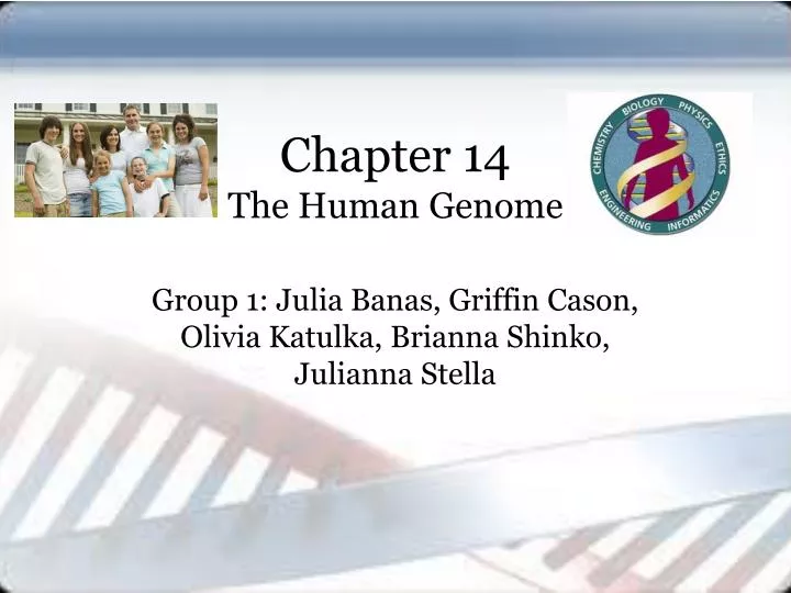chapter 14 the human genome