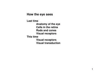 How the eye sees Last time 	Anatomy of the eye 	Cells in the retina 	Rods and cones