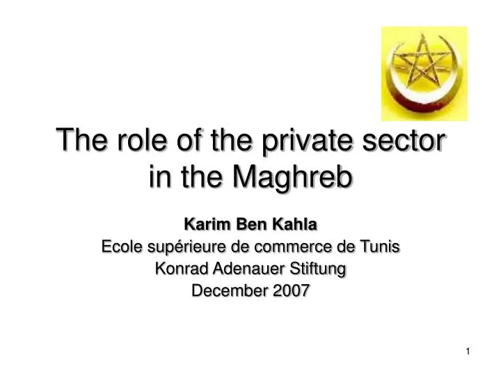 the role of the private sector in the maghreb