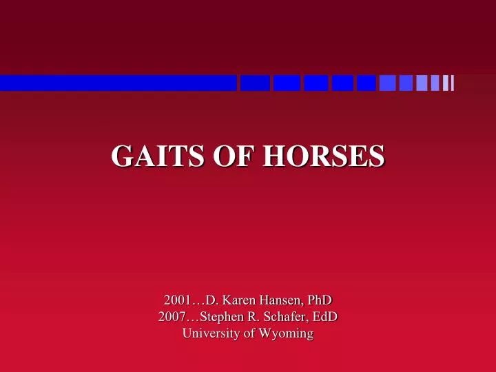 gaits of horses