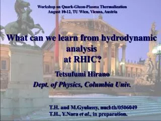 What can we learn from hydrodynamic analysis at RHIC?