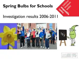 Spring Bulbs for Schools Investigation results 2006-2011