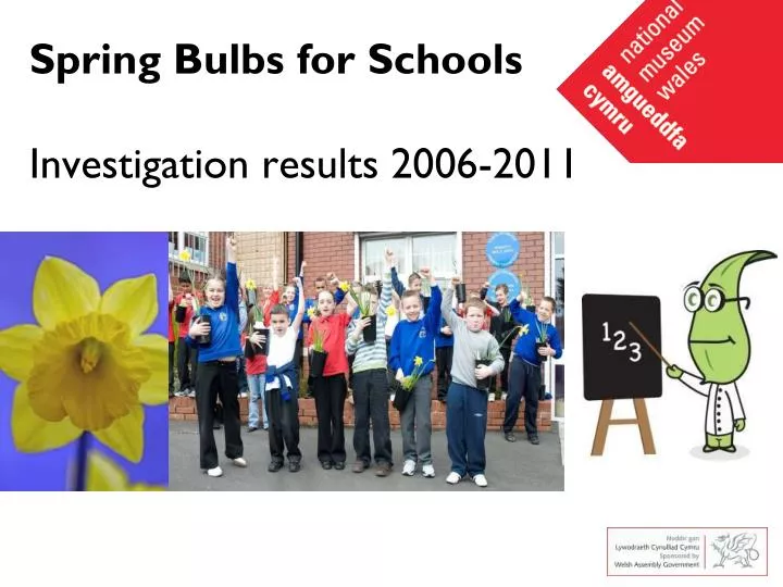 spring bulbs for schools investigation results 2006 2011