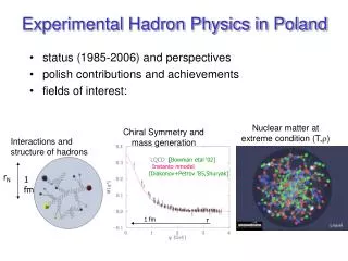 Experimental Hadron Physics in Poland