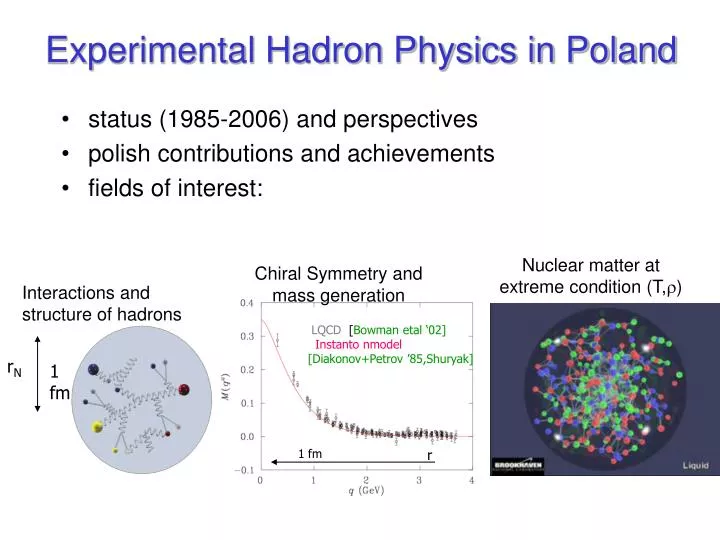 experimental hadron physics in poland