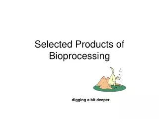Selected Products of Bioprocessing