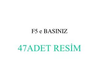 f5 e basiniz