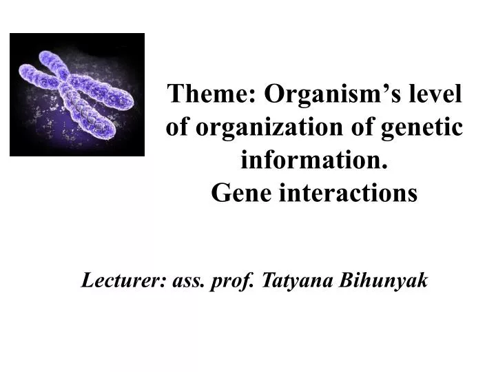 theme organism s level of organization of genetic information gene interactions