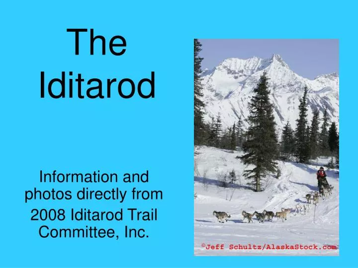 the iditarod