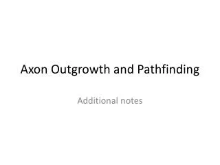 Axon Outgrowth and Pathfinding