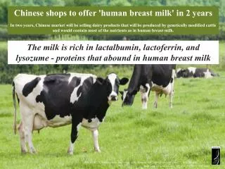 Chinese shops to offer 'human breast milk' in 2 years