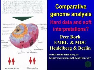 Comparative genome analysis