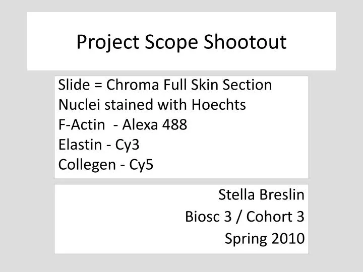project scope shootout