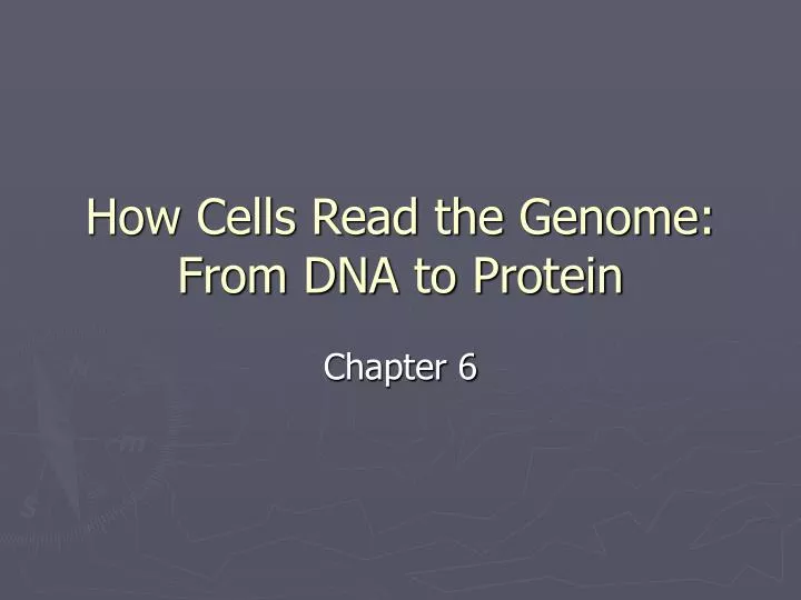 how cells read the genome from dna to protein