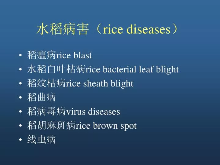 rice diseases