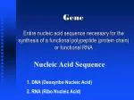 Gene - slide 1