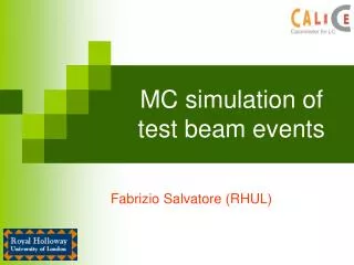 MC simulation of test beam events