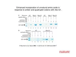 H Neumann et al. Nature 000 , 1 - 4 (2010) doi:10.1038/nature08 817