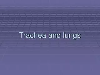 Trachea and lungs
