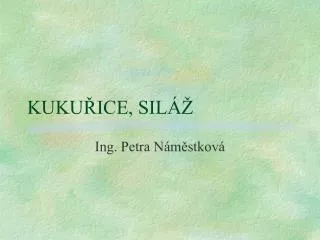 kuku ice sil