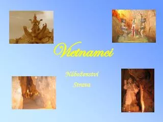 vietnamci
