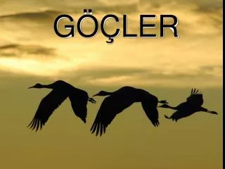 g ler