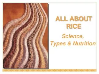 ALL ABOUT RICE