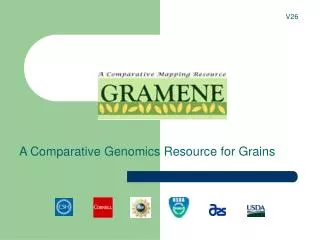 A Comparative Genomics Resource for Grains