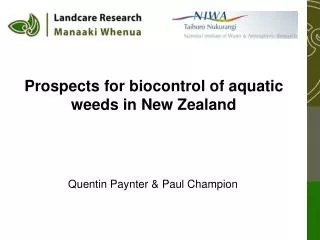 Prospects for biocontrol of aquatic weeds in New Zealand