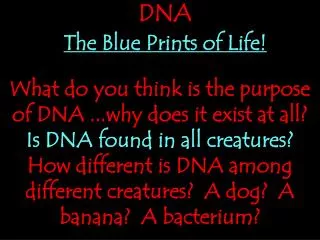 DNA The Blue Prints of Life!