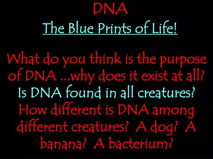 dna the blue prints of life