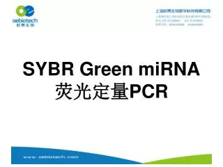 sybr green mirna pcr