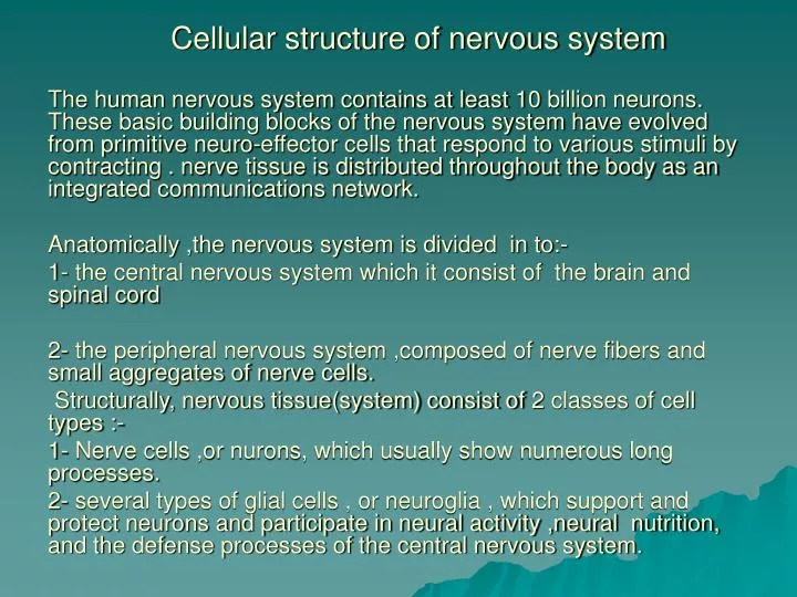 cellular structure of nervous system
