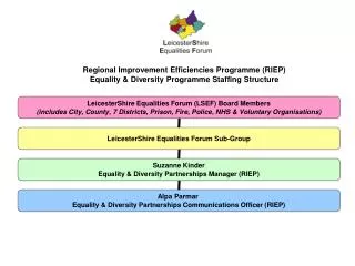 regional improvement efficiencies programme riep equality diversity programme staffing structure