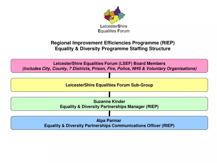 regional improvement efficiencies programme riep equality diversity programme staffing structure