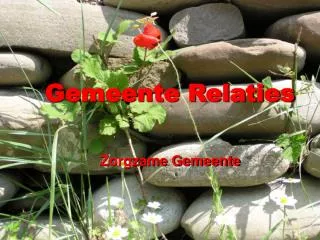 gemeente relaties