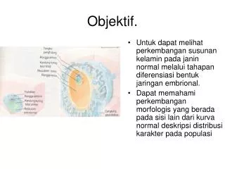 objektif