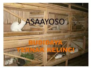 asaayoso