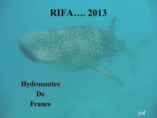 rifa 2013