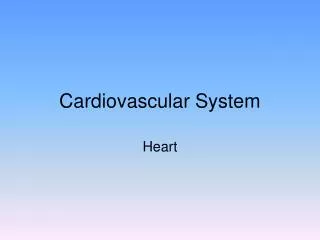 cardiovascular system