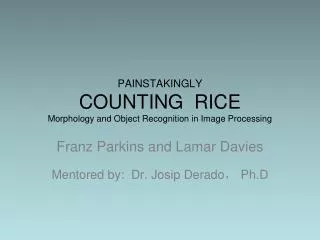 PAINSTAKINGLY COUNTING RICE Morphology and Object Recognition in Image Processing