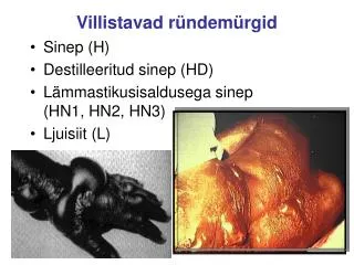 villistavad r ndem rgid