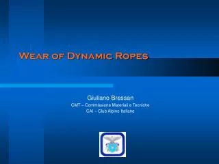 Wear of Dynamic Ropes