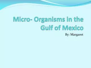 Micro- Organisms in the Gulf of Mexico