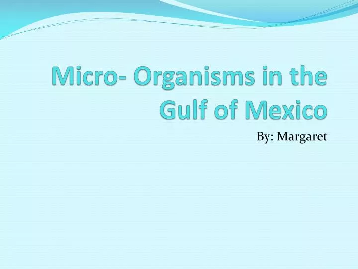 micro organisms in the gulf of mexico
