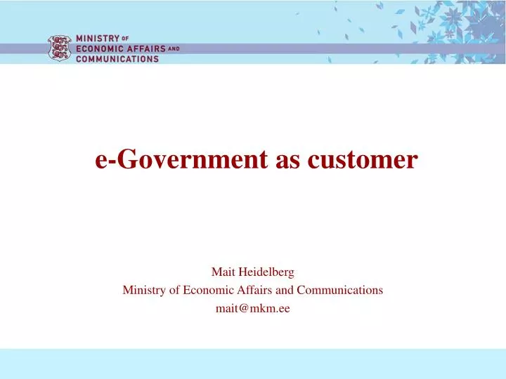 e government as customer