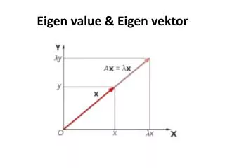 eigen value eigen vektor