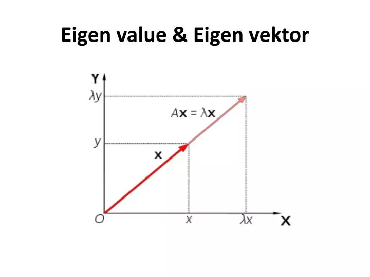 eigen value eigen vektor