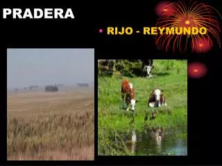pradera