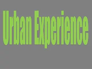 Urban Experience
